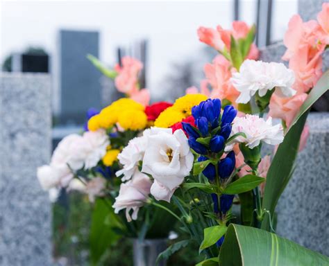 墓 花 種類|お墓参りにはどんなお花がいいの？花の種類や相場に。